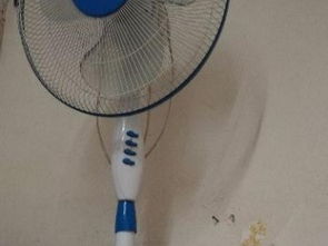 沪上家居生活图鉴 从厨房用品到日用杂品，打造温馨港湾